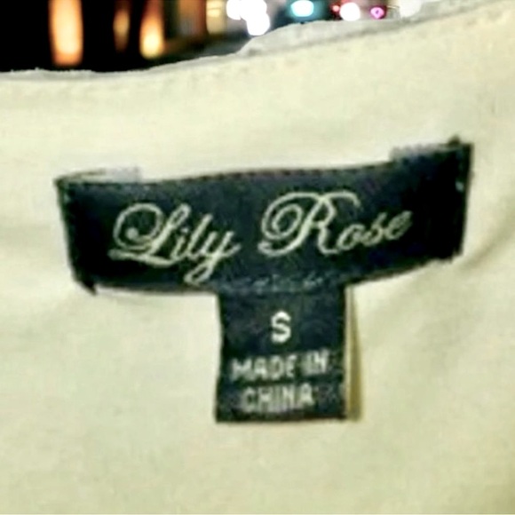 Anthropologie Lily Rose Dress Ivory Lace Fit & Flare Mini Size Small Euro Summer - Picture 3 of 16